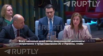 Специальное заседание ООН по Украине