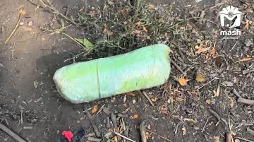 Больше 50 кг синтетических наркотиков нашли у банды закладчиков в ДНР