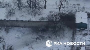 ���� ������� ������ ������ ��� � �� �������