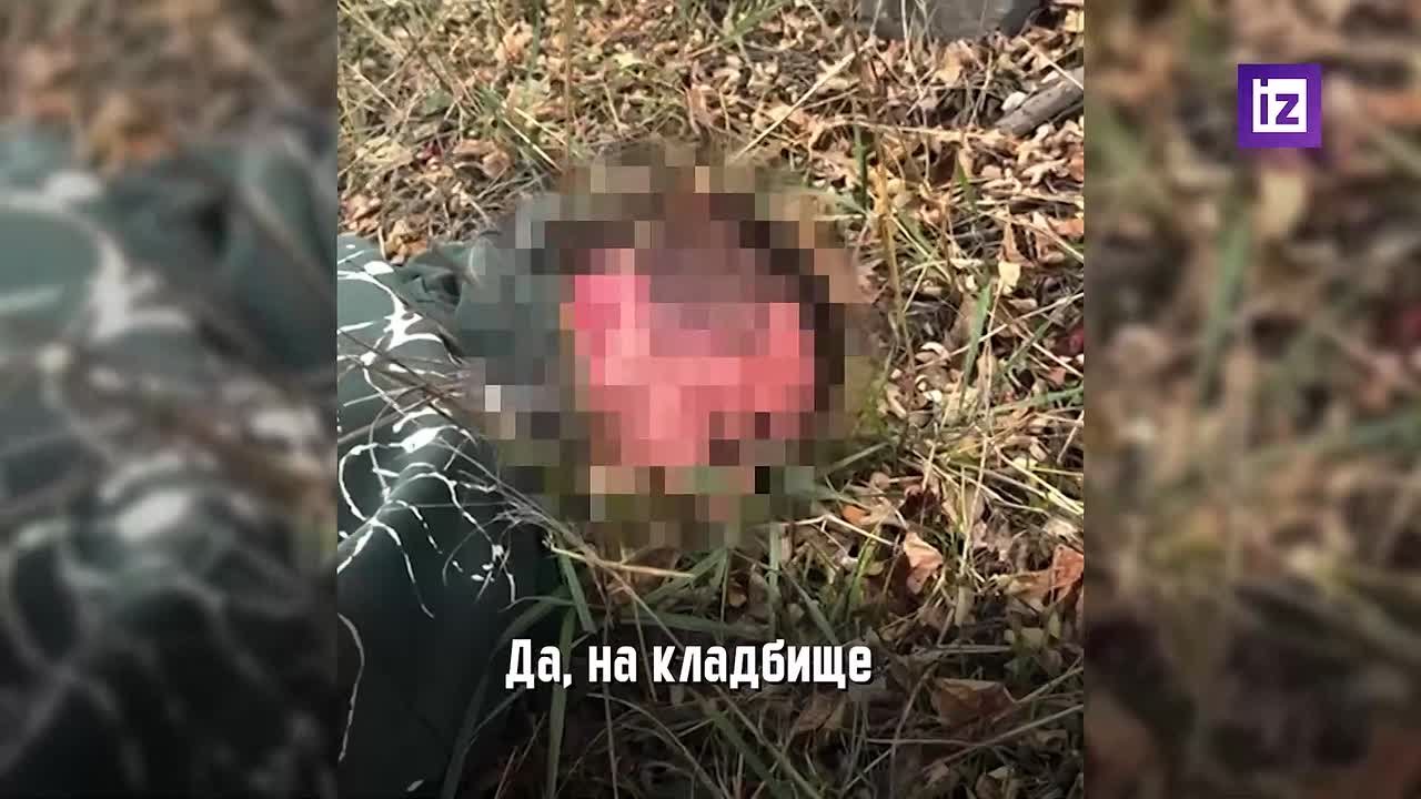 ФСБ по ДНР пресекла деятельность преступной группы, распространявшей наркотики в республике