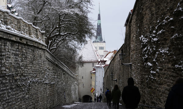 Запрет на въезд участникам СВО: Эстония не ценит настоящих героев
