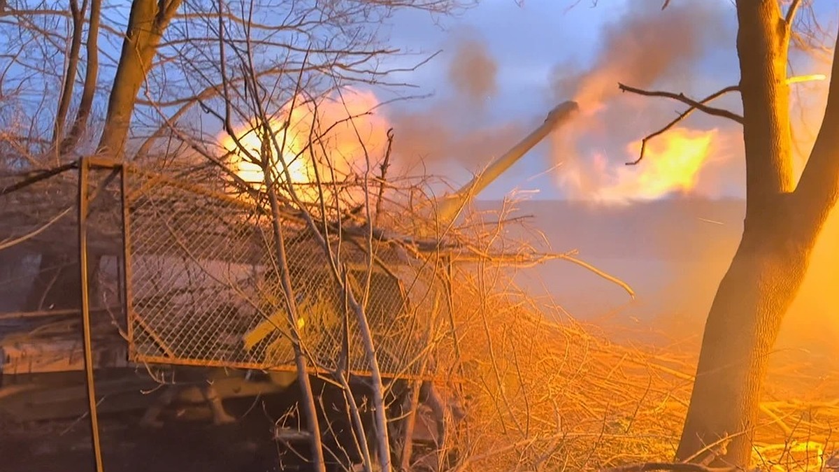 Названо число ликвидированных колумбийских наемников в ВСУ: счет идет на сотни