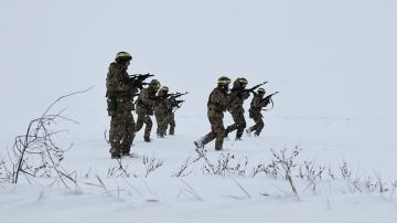 «Россия получит всё и без переговоров»: на Западе предрекли победу Москвы на поле боя