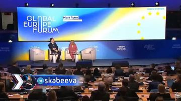 Рютте второй день подряд посылает Зеленскому сигналы о необходимости решить территориальный вопрос