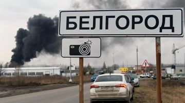 Записки ветерана: Белгородская область. Системные проблемы под огнём