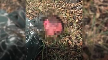 ��������� �������: ��� ��������� � ��� 25 ��������������