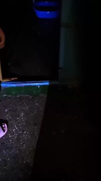 ��������� ���: � ����� ������� �����������