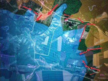 ��������-���������� �����������