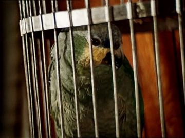 Украина созывает "Энергетический Рамштайн", — глава МИД Андрей Сибига