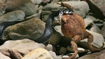 ���� ������� ������ � ��������� �������������� ����������, ���������� � ��� � �����������