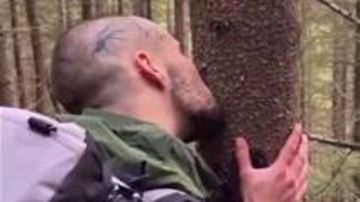 ������� ������� �������������� ������������ ����������