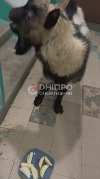 #�������_���_�����������: "�� �������� � ��������! �� ��������� � ���������!"