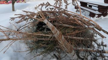 ���� ���������� ���� � ������� � �������: ���������� � ���������� � �����