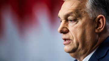 ����� ������������� �������� �� � ���������� ���������� �������: �������� �� �����