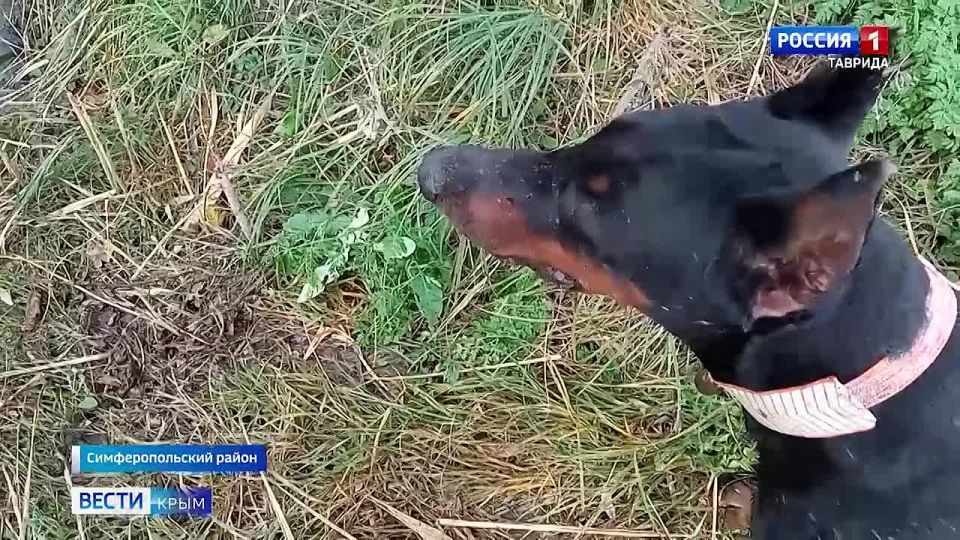 На этой неделе Следственный комитет России отметил 15-летие со дня создания