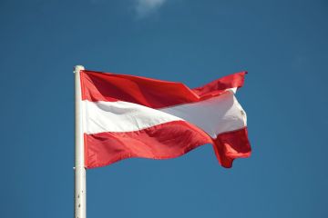 � ���������� ������ ����������������� ��������� "������������" � ����