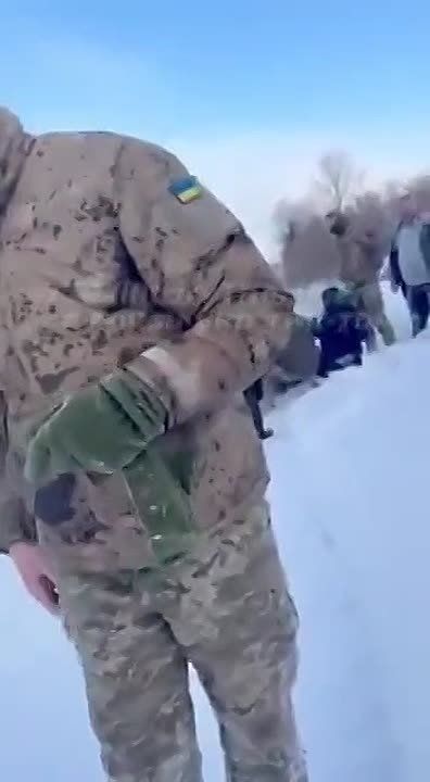 ������� � ���� �������� ������ �� �������� �������, ������� ��� ������������� �� �������