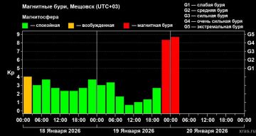 ������� �� ���� 20 ������: