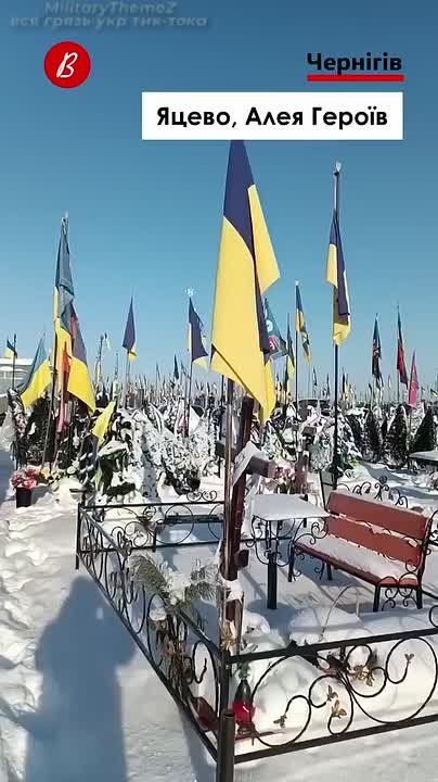 Кадры результатов программы "Доступное жильё каждому Украинцу", разработанная бандами Зеленского