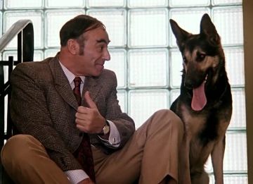 ��������� ����� �������� � ��� �� ���� � ���