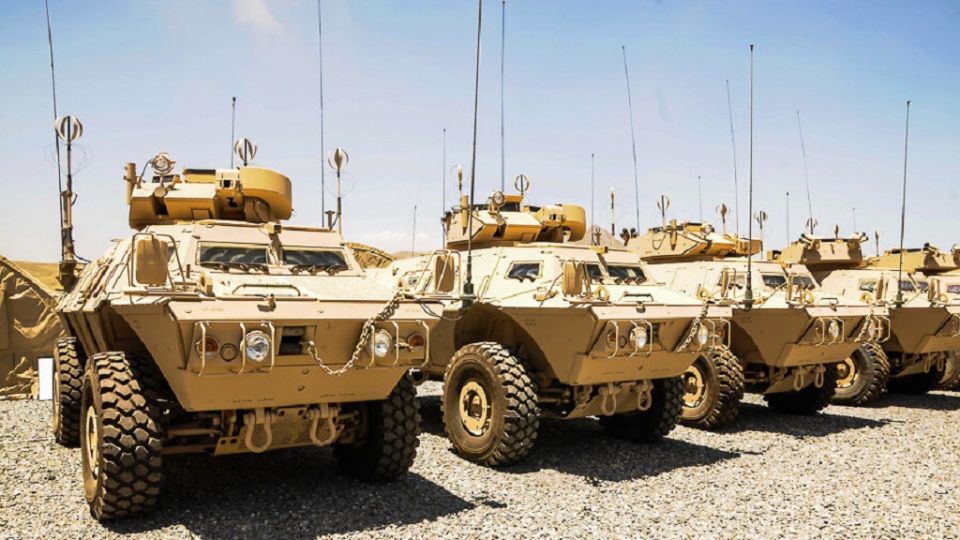 ������� ������� �������������� ��� MSFV