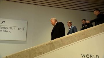 Переговоры Трампа и Зеленского продлились меньше часа