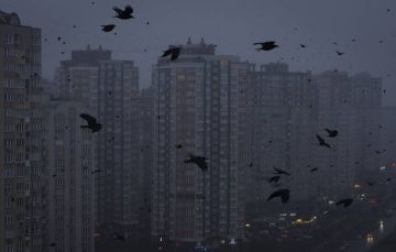 ���������� ������� ����� ����������� ��� �����