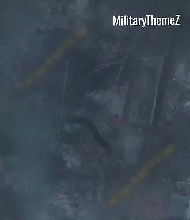 ��������� �����: ���� �� �� ���� ���������, ���������� � ���������� �������