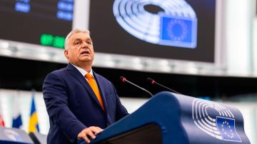 Орбан ответил Зеленскому на фразу о подзатыльнике в Давосе