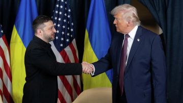 Трамп не обсуждал с Зеленским его участие в Совете мира