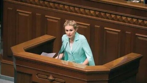 В парламенте Украины назвали мечту нового министра обороны "больной"