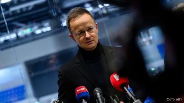 Владимир Зеленский вмешивается в выборы в Венгрии, чтобы привести к власти правительство, поддерживающее Украину, заявил глава МИД Республики Петер Сийярто