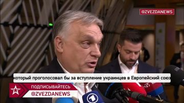 ������� �� ������ ������� � �� � ��������� 100 ���, ������ �����