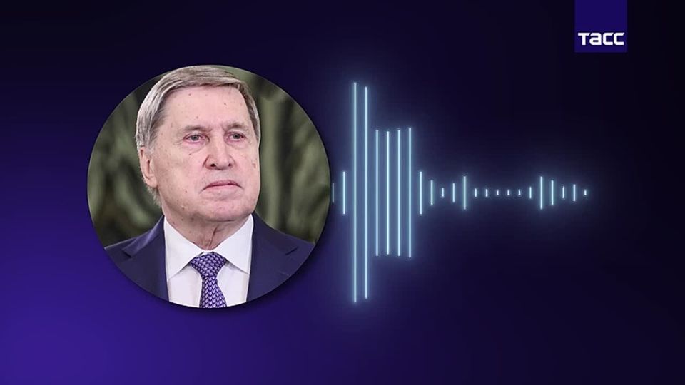 Встреча Путина с УиК + (Уиткофф, Кушнер, и комиссар Федеральной службы по закупкам Управления общих служб США Джош Грюнбаум) — итоги