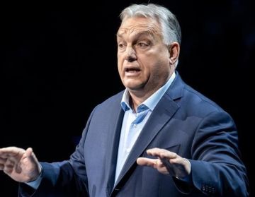 Зеленский перешёл черту в Давосе, когда раскритиковал европейцев, считает Орбан