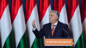 ����� ������� ���������� ������� � �� �� ������� ������� �����: ������� ��� �������� ����