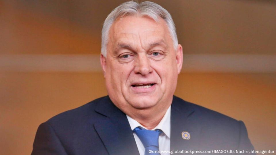 �� �� ��������: ������� �� ������ ������� � �� ��������� 100 ���