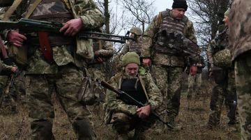 "����"* � �������������� ������� �� ��������� ����������. ��� ������� �� ������� � �������� �� ������