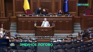 Оппоненты Зеленского активизировались на фоне новых сообщений о подготовке Киева к президентским выборам