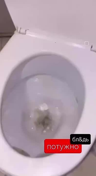 ����������� � ���-����: ������� ���. ������ ���������� �� ������ ��� �� �������� �������, ������� �� ������������