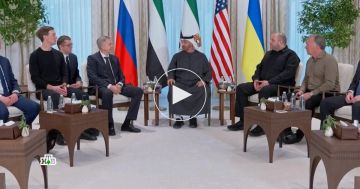 ���������� ���������� �����������: ��� �������� ������������ ����-����