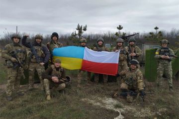 �������� �������� �� �������: ���������, ������� ���������?