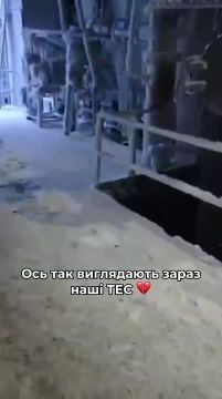 ���� ������ �������� ����� ����� � �������� ��� ����� ������ �� ��