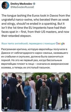 «Неблагодарная наркосвинья»: Медведев проиллюстрировал своё отношение к Зеленскому