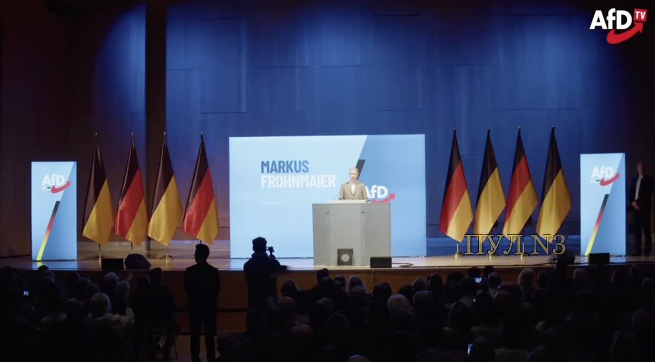 Лидер «Альтернативы для Германии» Алис Вайдель - раскритиковала политику Мерца в отношении России: