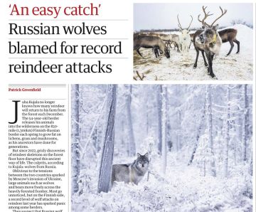 �������� ��������: The Guardian ����� �������� ����� � ���, ��� �������� � ������ ������� ����� ���������� ����� � �������� ������� ������