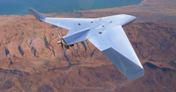 AFP: ������� �������� ����������� ������� ������������ ����������� �� 500���