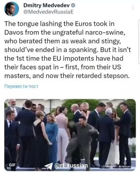 Флориан Филиппо поддержал слова Дмитрия Медведева о европейских импотентах и хамстве Зеленского в их адрес