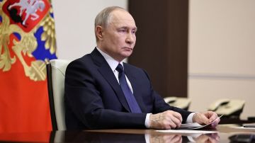 На Западе предрекают скорую встречу Путина и Зеленского: что произошло