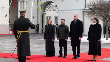 Зеленский хамит Лукашенко и грозит Белоруссии. Итоги 25 января